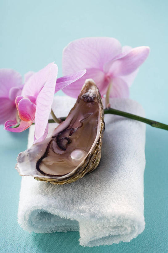 海鲜,无人,竖图,俯视,室内,特写,白天,幸福,纯洁,桌面,桌子,阴影,蓝色背景,盛开,反射,木制,纺织物,影子,珍珠,牡蛎,花蕾,水产,海洋生物,花,花瓣,花朵,鲜花,木制品,毛巾,花苞,花蕊,清洁,健康,摄影,影棚,保暖,生蚝,贵重,珍贵,高雅,富有,水生动物,海产品,水生物,透气,海底动物,防水,淡泊,花中君子,储水,耐磨,吸水,宝贵,有机宝石,兰花,彩图,高角度拍摄,影棚拍摄,拍摄