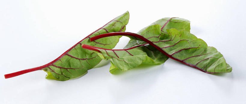 无人,横图,俯视,室内,特写,白天,白色背景,植物,餐桌,桌子,蔬菜,叶子,阴影,新鲜,反射,纹理,影子,食品,绿叶,甜菜,食物,绿色,紫色,嫩叶,摄影,有机食品,绿色食品,影棚,餐台,肌理,菾菜,叶,叶片,叶脉,彩图,高角度拍摄,影棚拍摄,拍摄