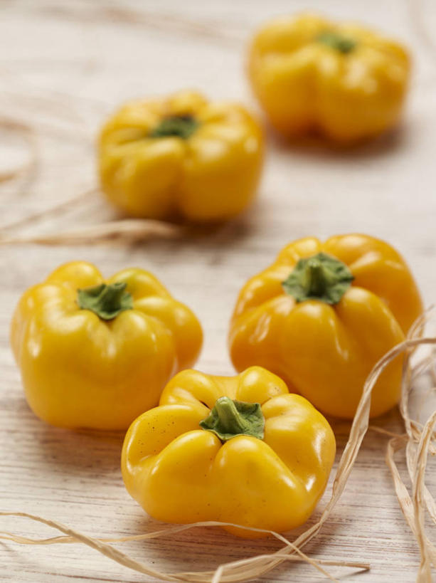 无人,竖图,俯视,室内,特写,白天,餐桌,桌子,辣椒,蔬菜,五个,许多,阴影,朦胧,模糊,新鲜,反射,影子,食品,食物,黄色,有机食品,绿色食品,餐台,彩椒,辣角,红海椒,大椒,辣虎,广椒,甜椒,柿子椒,辣子,海椒,番椒,灯笼椒,彩图,高角度拍摄