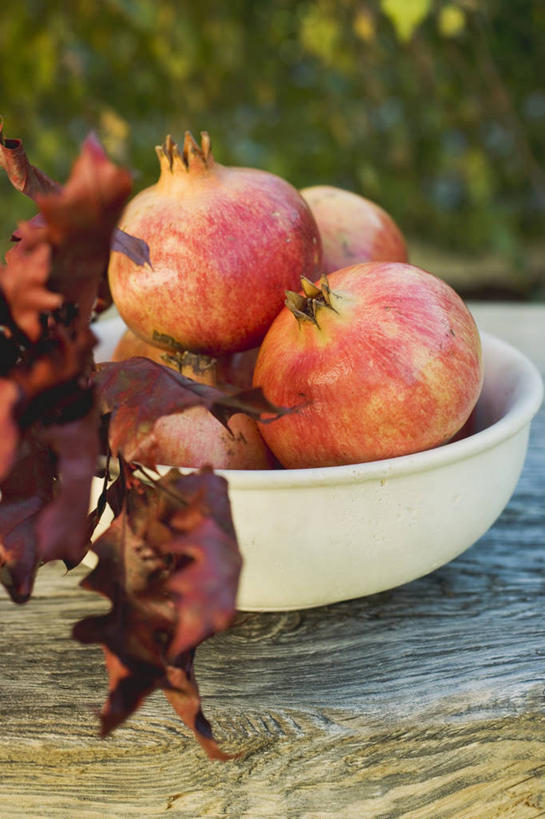 无人,竖图,俯视,室外,特写,白天,桌面,桌子,石榴,水果,叶子,一堆,阴影,堆叠,堆积,朦胧,模糊,新鲜,光线,木制,影子,陶瓷,生食,食品,果实,枯叶,落叶,陶瓷制品,食物,一个,红色,阳光,木制品,容器,碗,有机食品,绿色食品,单个,储藏,堆,储存,叶,叶片,涂林,若榴,金罂,金庞,丹若,安石榴,彩图,高角度拍摄,贮存