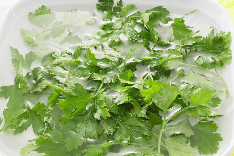 无人,横图,俯视,室内,特写,白天,水,餐桌,桌子,蔬菜,叶子,阴影,新鲜,反射,液体,影子,陶瓷,水滴,香菜,食品,绿叶,陶瓷制品,食物,一个,容器,碗,嫩叶,有机食品,绿色食品,单个,餐台,储藏,储存,胡菜,香荽,原荽,园荽,芫荽,胡荽,莞荽,芫茜,芫蓿,莚葛草,莚荽菜,叶,叶片,彩图,高角度拍摄,贮存