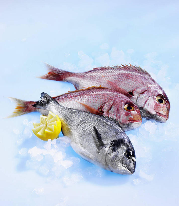 海鲜,无人,竖图,俯视,室内,特写,白天,餐桌,桌子,柠檬,水果,阴影,蓝色背景,新鲜,反射,鱼,影子,冰,生食,冰块,食品,果实,鲷鱼,冷冻,水产,鱼类,海洋生物,食物,寒冷,摄影,有机食品,绿色食品,影棚,三条,冷藏,餐台,鲷,加吉鱼,铜盆鱼,冰冷,水生动物,海产品,水生物,海底动物,班加吉,加真鲷,保鲜,益母果,柠果,彩图,高角度拍摄,全身,影棚拍摄,拍摄