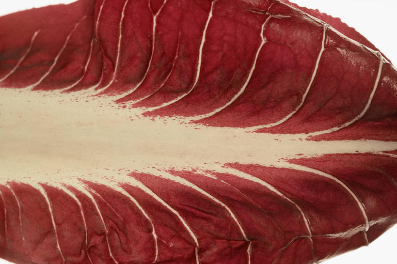 无人,横图,俯视,室内,特写,白天,白色背景,餐桌,桌子,蔬菜,叶子,阴影,新鲜,反射,影子,菊苣,食品,绿叶,药草,食物,紫色,嫩叶,摄影,有机食品,绿色食品,影棚,餐台,药材,叶,叶片,彩图,高角度拍摄,影棚拍摄,拍摄