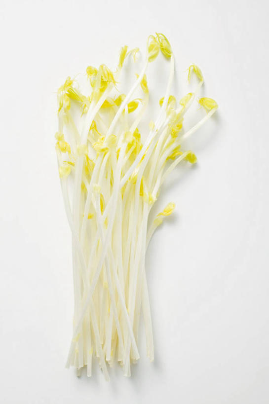 无人,竖图,俯视,室内,特写,白天,白色背景,餐桌,桌子,蔬菜,阴影,新鲜,反射,影子,豆芽,食品,食物,黄色,摄影,有机食品,绿色食品,影棚,餐台,豆芽菜,芽苗菜,彩图,高角度拍摄,影棚拍摄,拍摄