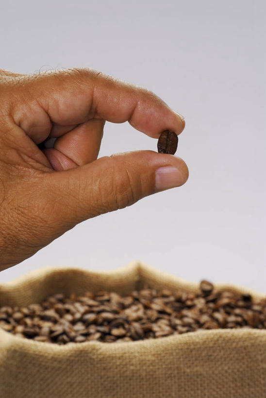 咖啡,西方人,手,一个人,捏,竖图,室内,特写,白天,正面,植物,豆,袋子,欧洲,欧洲人,仅一个女性,仅一个人,一堆,许多,堆叠,堆积,豆类,豆子,很多,捏着,麻袋,一个,容器,咖啡豆,仅一个中年女性,手部,摄影,影棚,单个,储藏,堆,单手,储存,豆科,咖啡因,女人,女性,中年女性,白种人,半身,彩图,影棚拍摄,拍摄,贮存