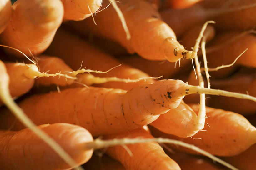 无人,横图,俯视,室内,特写,白天,餐桌,桌子,萝卜,胡萝卜,蔬菜,一堆,许多,阴影,堆叠,堆积,新鲜,反射,影子,食品,很多,食物,橙色,有机食品,绿色食品,餐台,堆,红萝卜,甘荀,彩图,高角度拍摄