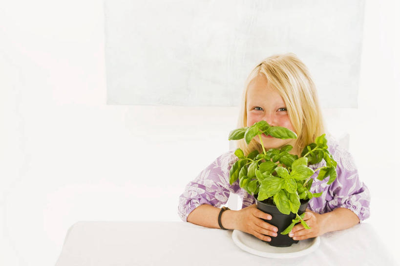 西方人,儿童,一个人,坐,捧,笑,微笑,露齿笑,横图,室内,白天,白色背景,正面,纯洁,植物,餐桌,桌子,叶子,欧洲,欧洲人,仅一个女性,仅一个人,服装,盆栽,香料,绿叶,草药,盆景,注视,休闲装,闻,中药,小孩,衣服,绿色,自然,香草,观察,看,仅一个小孩,休闲,休闲服,嫩叶,可爱,童年,童趣,摄影,服饰,影棚,生长,成长,餐台,观看,罗勒,察看,嗅,关注,紫苏,药材,中草药,童真,烂漫,无邪,九层塔,圣约瑟夫草,甜罗勒,兰香,中药材,本草,天真,女孩,女人,女性,白种人,孩子,叶,叶片,端,端着,捧着,手捧,坐着,半身,彩图,影棚拍摄,拍摄,女生