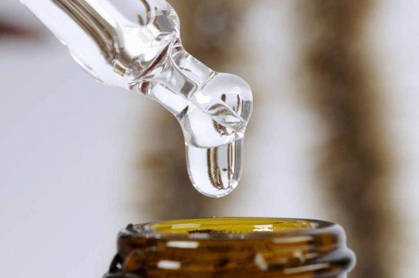 无人,横图,室内,特写,白天,正面,植物,玻璃,阴影,朦胧,模糊,反射,影子,草药,药草,中药,玻璃制品,玻璃瓶,瓶子,杨树,药材,中草药,广口瓶,中药材,本草,大叶杨,麻嘎勒,山杨,彩图