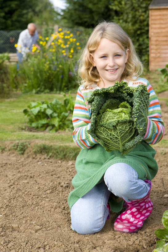 西方人,儿童,老年人,两个人,家庭,祖父,农田,站,跪,蹲,笑,微笑,露齿笑,竖图,室外,白天,正面,纯洁,庄稼,农作物,植物,蔬菜,欧洲,欧洲人,握,阴影,服装,新鲜,光线,影子,墙,食品,拿,拿着,注视,休闲装,墙壁,墙面,树,树木,食物,小孩,衣服,绿色,阳光,自然,观察,看,站着,休闲,温暖,温馨,一家人,休闲服,可爱,童年,童趣,握着,服饰,有机食品,绿色食品,生长,爷爷,成长,观看,祖孙,和睦,察看,关注,童真,烂漫,无邪,外孙女,外公,外祖父,天真,老年男性,男人,男性,女孩,白种人,孩子,孙女,蹲着,跪着,站立,彩图,全身,耕地,庄稼田,融洽,女生