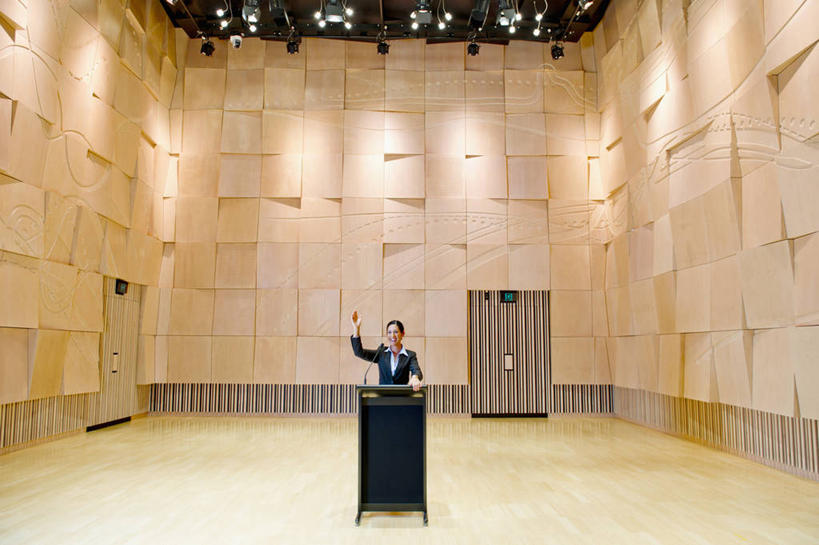 西方人,一个人,商务人士,商务女性,舞台,站,举,横图,室内,白天,正面,照明,欧洲,欧洲人,仅一个年轻女性,仅一个女性,仅一个人,握,阴影,套装,光线,影子,墙,灯光,注视,顶灯,墙壁,墙面,灯,话筒,讲台,灯具,观察,看,托,演讲,站着,握着,报告,观看,照亮,察看,麦克风,演说,照明设备,关注,扩音器,演说台,商务装,宣传,传声器,工薪阶层,演讲台,微音器,鼓动,讲演,年轻女性,女人,女性,白种人,白领,上班族,表演台,举起,举手,举着,向上举,向上伸,向上托,站立,彩图,全身