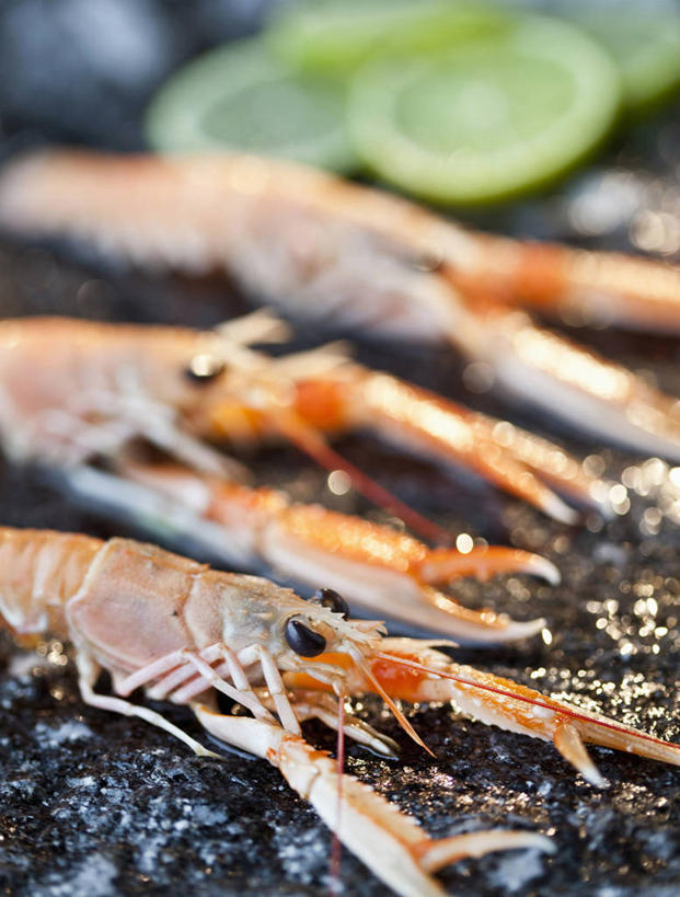 海鲜,龙虾,无人,竖图,室内,特写,白天,正面,餐桌,桌子,水果,阴影,朦胧,模糊,新鲜,反射,影子,生食,虾,食品,果实,水产,海洋生物,食物,三个,有机食品,绿色食品,餐台,水生动物,海产品,横截面,水生物,剖面,海底动物,酸橙,代代,海螯虾,截面,截面图形,橙子,橙,彩图