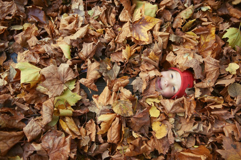 西方人,儿童,一个人,躺,笑,微笑,露齿笑,横图,俯视,室外,白天,纯洁,秋季,帽子,叶子,欧洲,欧洲人,仅一个男性,仅一个人,覆盖,枯叶,落叶,注视,小孩,观察,看,仅一个小孩,可爱,童年,童趣,观看,察看,掩盖,关注,童真,烂漫,无邪,棉帽,掩饰,笼罩,卧着,天真,男孩,男人,男性,白种人,孩子,叶,叶片,秋,秋天,躺着,卧,半身,彩图,高角度拍摄,袒护,男生