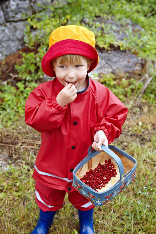 西方人,儿童,一个人,站,吃,交叉,竖图,俯视,室外,白天,纯洁,石头,树林,植物,竹子,草莓,浆果,帽子,水果,鞋子,欧洲,欧洲人,仅一个男性,仅一个人,握,阴影,竹制,新鲜,编织,光线,篮子,石子,影子,雨鞋,雨靴,云,云朵,生食,食品,果实,拿,云彩,拿着,注视,靴子,树,树木,食物,小孩,蓝色,绿色,白云,蓝天,天空,阳光,自然,遮阳帽,竹篮,天,观察,看,站着,仅一个小孩,可爱,童年,童趣,握着,有机食品,绿色食品,生长,晴朗,成长,观看,竹条,保暖,交织,察看,竹制品,防寒,御寒,关注,雨衣,胶鞋,童真,透气,烂漫,无邪,防水,穿插,冲锋服,冲锋衣,防潮,户外用品,天真,男孩,男人,男性,白种人,孩子,石块,岩石,晴空,洋莓,水果皇后,红莓,地莓,嚼,食,站立,彩图,高角度拍摄,全身,男生