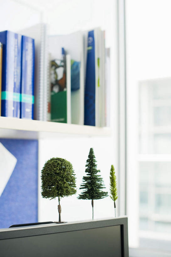 无人,办公室,竖图,室内,特写,白天,正面,植物,窗户,柜子,静物,书籍,一排,许多,整齐,材料,档案,文件,玻璃窗,树,树木,排列,绿色,自然,模型,资料,生长,成长,队列,文档,档案柜,书,图书,彩图