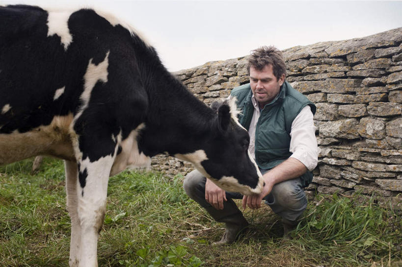 西方人,一个人,蹲,横图,室外,白天,正面,草地,草坪,植物,牛,欧洲,欧洲人,仅一个男性,仅一个人,仅一个中年男性,一头,握,阴影,花纹,服装,光线,影子,墙,云,云朵,乳牛,拿,云彩,拿着,注视,休闲装,墙壁,墙面,草,衣服,蓝色,绿色,白云,蓝天,天空,阳光,动物,天,观察,看,休闲,休闲服,家畜,握着,服饰,牲畜,晴朗,观看,察看,关注,斑纹,男人,男性,中年男性,白种人,晴空,奶牛,蹲着,彩图,全身