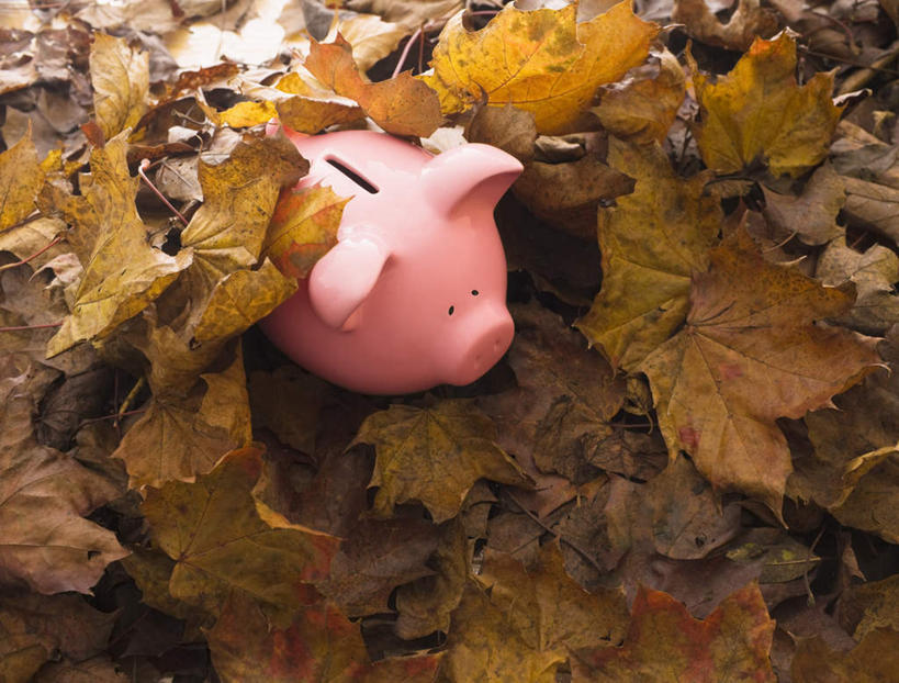 无人,横图,俯视,室外,特写,白天,静物,叶子,一堆,许多,堆叠,堆积,枫叶,枯叶,落叶,很多,一个,粉色,黄色,红色,容器,储蓄罐,器皿,储蓄,存钱,金融,理财,经济,单个,枫树叶,堆,资金,存钱罐,存款,流通,贸易,贮钱罐,储钱罐,扑满,叶,叶片,彩图,高角度拍摄