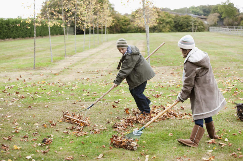西方人,儿童,两个人,家庭,站,横图,室外,白天,侧面,纯洁,草地,草坪,植物,帽子,金属制品,欧洲,欧洲人,两顶,弯腰,握,阴影,服装,光线,金属,工具,影子,云,云朵,拿,云彩,拿着,注视,休闲装,草,树,树木,两个,小孩,衣服,蓝色,绿色,白云,蓝天,天空,阳光,自然,天,低头,观察,看,站着,休闲,温暖,温馨,一家人,休闲服,可爱,童年,童趣,握着,服饰,生长,晴朗,成长,观看,和睦,察看,耙子,关注,童真,烂漫,无邪,农具,弯身,编织帽,垂头,耕具,天真,男孩,男人,男性,女孩,女人,女性,白种人,晴空,站立,彩图,全身,融洽,男生,女生