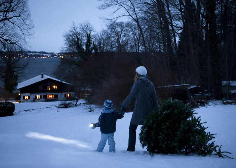 西方人,儿童,中年人,两个人,家庭,父亲,儿子,家,走,握手,横图,室外,夜晚,纯洁,雪,植物,大雪,帽子,照明,欧洲,欧洲人,握,服装,装饰,房屋,屋子,积雪,雪景,冬季,冬天,灯光,圣诞树,拿,拿着,注视,休闲装,楼房,住宅,灯,树,树木,一个,小孩,背面,衣服,绿色,自然,围巾,观察,看,休闲,温暖,温馨,父子,一家人,休闲服,父爱,寒冷,可爱,童年,童趣,握着,服饰,生长,单个,成长,围脖,观看,保暖,华丽,照亮,点缀,和睦,察看,御寒,照明设备,关注,手电筒,电筒,手电,童真,烂漫,无邪,无边帽,衬托,美观,雅致,雅观,一顶,严寒,天真,男孩,男人,男性,中年男性,白种人,孩子,步行,搀手,拉手,散步,手搀手,手拉手,手牵手,手握手,走路,彩图,全身,房子,融洽,男生