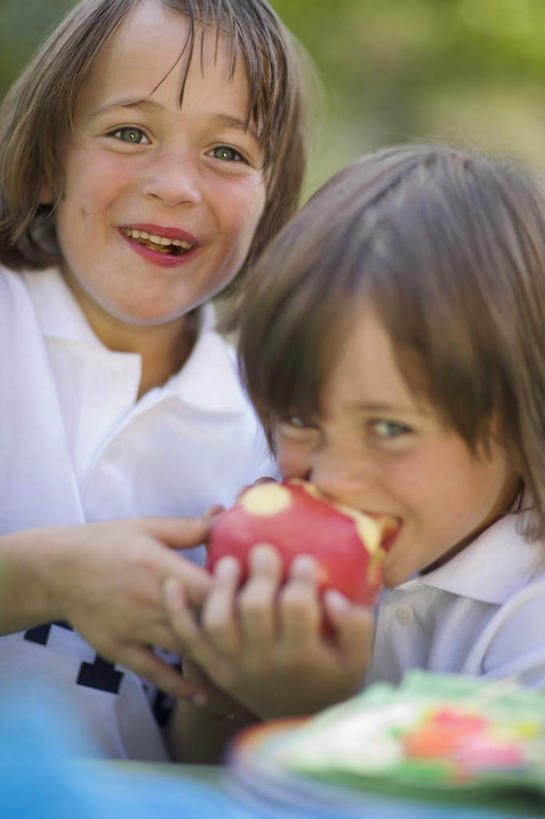 西方人,儿童,两个人,家庭,双胞胎,站,捧,笑,吃,微笑,露齿笑,竖图,室外,白天,正面,纯洁,树林,植物,苹果,水果,欧洲,欧洲人,握,阴影,服装,朦胧,模糊,新鲜,光线,影子,生食,食品,果实,拿,拿着,注视,休闲装,树,树木,食物,一个,小孩,衣服,红色,绿色,白色,阳光,自然,观察,看,站着,休闲,温暖,温馨,一家人,休闲服,可爱,童年,童趣,握着,服饰,有机食品,绿色食品,生长,单个,成长,观看,和睦,察看,关注,童真,烂漫,无邪,天真,男孩,男人,男性,白种人,孩子,端,端着,嚼,捧着,食,手捧,站立,半身,彩图,融洽,男生