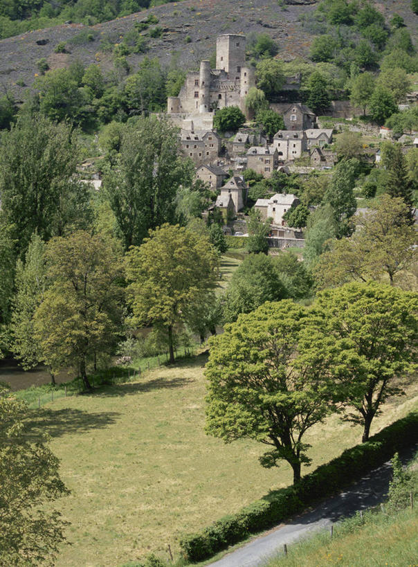 无人,竖图,俯视,航拍,室外,白天,旅游,度假,草地,草坪,美景,树林,植物,法国,欧洲,阴影,光线,影子,堡垒,城堡,景观,娱乐,草,树,树木,绿色,阳光,自然,享受,休闲,景色,放松,生长,成长,西欧,要塞,鸟瞰,法兰西,自然风光,法兰西共和国,法兰西第五共和国,南部.比利牛斯,设防,阿韦龙省,南部.比利牛斯大区,彩图,高角度拍摄