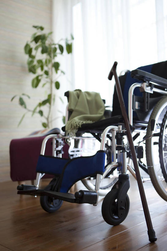 无人,客厅,竖图,室内,白天,正面,植物,地板,叶子,一把,阴影,反射,工具,盆栽,影子,墙,绿叶,盆景,地面,木地板,墙壁,墙面,绿色,自然,轮椅,复健,康复,器械,嫩叶,生长,成长,医疗设备,起居室,医疗器械,医疗工具,辅助设备,客堂,叶,叶片,彩图