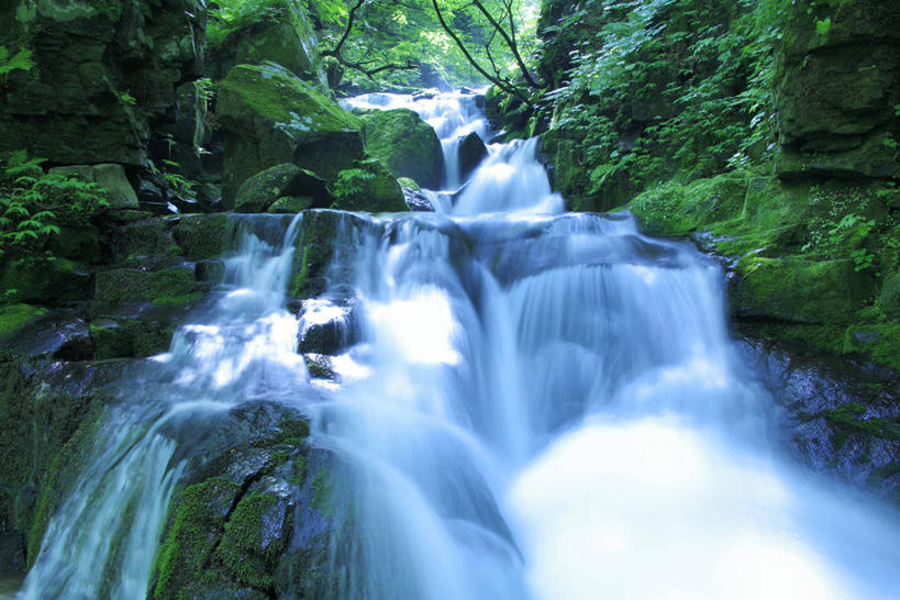 无人,横图,室外,白天,仰视,旅游,度假,河流,石头,美景,瀑布,森林,树林,水,植物,日本,亚洲,飞溅,朦胧,模糊,溅,石子,液体,河水,景观,水滴,水流,青苔,苔藓,娱乐,水珠,树,树木,绿色,小溪,自然,溪水,享受,休闲,景色,放松,生长,成长,喷洒,自然风光,东亚,本州,本州岛,日本国,青森,青森县,东北地方,奥入濑溪谷,十和田市,十和田,跌水,石块,岩石,彩图,低角度拍摄