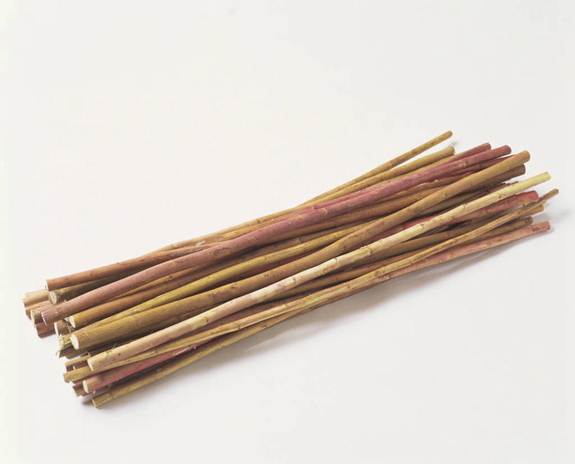 无人,横图,俯视,室内,特写,白天,白色背景,植物,一堆,许多,阴影,堆叠,堆积,反射,影子,草药,药草,很多,中药,摄影,影棚,堆,药材,中草药,中药材,本草,红麻,槿麻,洋麻,芙蓉麻,彩图,高角度拍摄,影棚拍摄,拍摄,钟麻