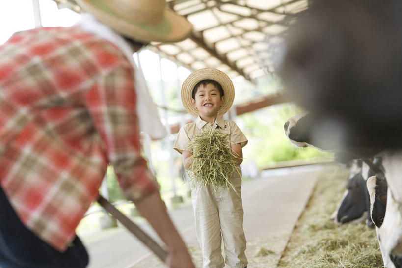 东方人,儿童,中年人,背部,两个人,家庭,父亲,儿子,农民,农场,站,笑,微笑,露齿笑,横图,室外,白天,正面,纯洁,畜牧业,牧场,牛,帽子,亚洲,弯腰,握,花纹,服装,朦胧,模糊,草帽,纺织物,干草,乳牛,拿,拿着,注视,休闲装,黄种人,小孩,衣服,动物,草垛,毛巾,观察,看,清洁,站着,休闲,温暖,温馨,父子,一家人,休闲服,家畜,父爱,可爱,童年,童趣,握着,服饰,牲畜,观看,保暖,和睦,察看,关注,斑纹,童真,透气,烂漫,无邪,防水,畜牧,牧业,弯身,储水,耐磨,吸水,干草垛,天真,男孩,男人,男性,中年男性,亚洲人,孩子,奶牛,佃农,农场主,农夫,农工,乡下人,小农,庄稼人,站立,半身,彩图,融洽,男生