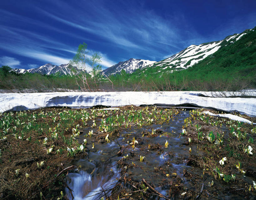 无人,横图,室外,白天,正面,旅游,度假,美景,山,雪,雪山,植物,大雪,长野县,日本,亚洲,许多,阴影,光线,影子,冰,积雪,景观,山峰,雪景,云,云朵,冬季,冬天,草药,药草,山峦,很多,云彩,娱乐,中药,排列,蓝色,白云,蓝天,天空,阳光,自然,天,享受,休闲,景色,放松,寒冷,晴朗,冰冷,有毒,自然风光,药材,中草药,东亚,中药材,本草,本州,本州岛,日本国,中部地方,长野,严寒,冰凉,酷寒,凛冽,凛凛,极冷,摆列,臭菘,北安,北安昙郡,晴空,彩图,布列,分列