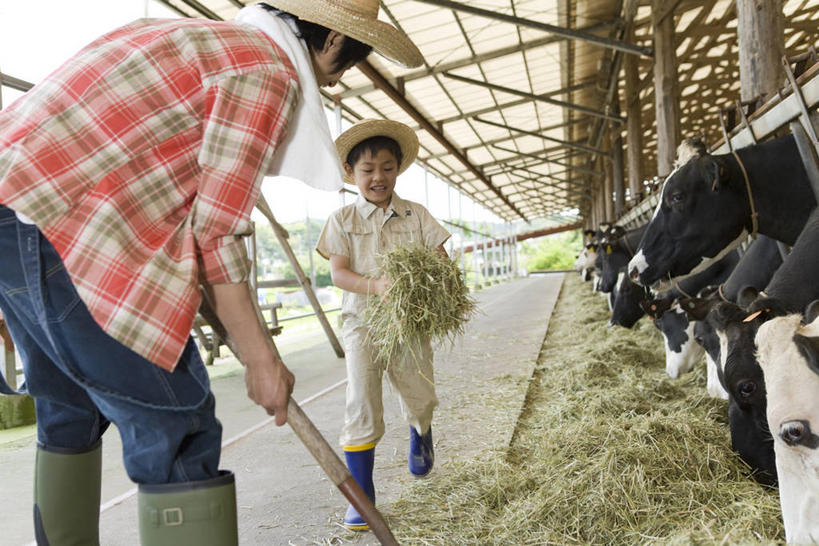 东方人,儿童,中年人,两个人,家庭,父亲,儿子,农场,站,捧,横图,室外,白天,正面,纯洁,畜牧业,牧场,道路,路,牛,帽子,鞋子,亚洲,弯腰,握,阴影,花纹,服装,光线,草帽,叉子,纺织物,影子,雨鞋,雨靴,小路,干草,乳牛,交通,注视,休闲装,黄种人,靴子,一个,小孩,衣服,天空,阳光,动物,草垛,毛巾,天,观察,看,清洁,站着,休闲,温暖,温馨,父子,一家人,休闲服,家畜,父爱,可爱,童年,童趣,握着,服饰,牲畜,单个,观看,保暖,和睦,察看,关注,斑纹,胶鞋,童真,透气,烂漫,无邪,农具,防水,畜牧,雨棚,牧业,弯身,耕具,储水,耐磨,吸水,干草垛,天真,男孩,男人,男性,中年男性,亚洲人,孩子,奶牛,端,端着,捧着,手捧,站立,半身,彩图,干草叉,融洽,男生