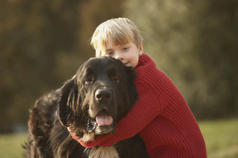 西方人,儿童,一个人,站,抱,笑,微笑,横图,室外,白天,侧面,毛衣,纯洁,草地,草坪,植物,宠物,狗,欧洲,欧洲人,仅一个男性,仅一个人,阴影,服装,朦胧,模糊,光线,影子,注视,休闲装,草,树,树木,一只,小孩,衣服,红色,绿色,阳光,自然,动物,观察,看,站着,仅一个小孩,休闲,休闲服,可爱,童年,童趣,服饰,生长,成长,抱着,观看,察看,搂着,关注,线衫,童真,烂漫,无邪,忠诚,罗威纳,罗威纳犬,洛威拿,罗特韦尔犬,天真,男孩,男人,男性,白种人,孩子,犬,搂,搂抱,站立,半身,彩图,绒衣,套衫,套头毛衣,线衣,男生