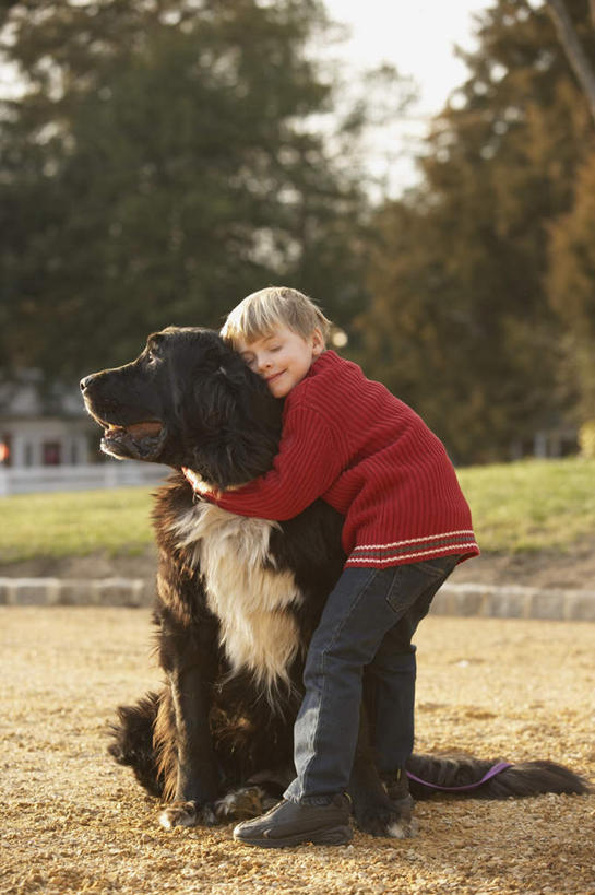 西方人,儿童,一个人,站,抱,笑,微笑,竖图,室外,白天,侧面,毛衣,纯洁,草地,草坪,植物,宠物,狗,欧洲,欧洲人,仅一个男性,仅一个人,阴影,服装,朦胧,模糊,光线,影子,注视,休闲装,草,树,树木,一只,小孩,衣服,红色,绿色,阳光,自然,动物,观察,看,站着,仅一个小孩,休闲,休闲服,可爱,童年,童趣,服饰,生长,成长,抱着,观看,察看,搂着,关注,线衫,童真,烂漫,无邪,忠诚,罗威纳,罗威纳犬,洛威拿,罗特韦尔犬,天真,男孩,男人,男性,白种人,孩子,犬,搂,搂抱,站立,彩图,全身,绒衣,套衫,套头毛衣,线衣,男生