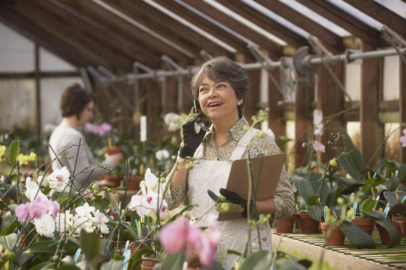 东方人,西方人,两个人,花商,站,说,打电话,横图,室内,白天,正面,讨论,安全,电话,手机,欧洲,欧洲人,亚洲,许多,握,阴影,服装,朦胧,模糊,盛开,反射,围裙,影子,防护,花蕾,温室,注视,休闲装,黄种人,通讯设备,顾客,花,花瓣,花朵,鲜花,衣服,手套,花苞,花蕊,观察,看,站着,休闲,休闲服,握着,服饰,设施,观看,保护,察看,暖房,高雅,防寒,关注,加温,保险,透光,记录板,保温,记事板,一部,保全,周全,安稳,安定,防护手套,淡泊,花中君子,主顾,交流,平安,兰花,老年女性,年轻女性,女人,女性,白种人,亚洲人,花店老板,花贩,卖花人,沟通,讲话,交谈,商讨,说话,谈话,通话,站立,半身,彩图