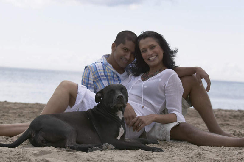 西方人,两个人,夫妻,坐,笑,微笑,露齿笑,横图,室外,白天,正面,爱情,旅游,度假,海浪,海洋,美景,沙滩,宠物,狗,欧洲,非洲,黑人,欧洲人,亚洲,阴影,服装,光线,沙子,影子,海岸,景观,浪花,云,云朵,沙地,浪漫,云彩,注视,休闲装,娱乐,一只,衣服,蓝色,黑色,白云,蓝天,天空,阳光,自然,海水,动物,天,观察,看,靠,靠着,趴着,享受,休闲,休闲服,景色,恩爱,放松,可爱,恋人,服饰,晴朗,观看,察看,关注,自然风光,海景,忠诚,罗威纳,罗威纳犬,洛威拿,罗特韦尔犬,男人,男性,女人,女性,中年男性,中年女性,非洲人,亚洲人,印度人,夫妇,情侣,大海,风浪,海,海水的波动,海滩,近岸浪,涌浪,晴空,犬,趴,坐着,半身,彩图,伴侣