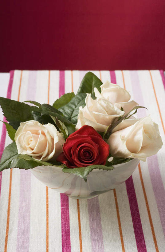 无人,竖图,俯视,室内,特写,白天,爱情,幸福,纯洁,热情,玫瑰,叶子,玻璃,阴影,红色背景,条纹,盛开,反射,布料,影子,绿叶,玫瑰花,浪漫,花蕾,布纹,玻璃制品,桌布,花,花瓣,花朵,鲜花,一个,红色,白色,餐巾,容器,台布,碗,花苞,花蕊,温暖,温馨,嫩叶,恩爱,摄影,影棚,单个,储藏,和睦,储存,感动,尊敬,天真,刺玫花,徘徊花,叶,叶片,彩图,高角度拍摄,影棚拍摄,拍摄,融洽,贮存