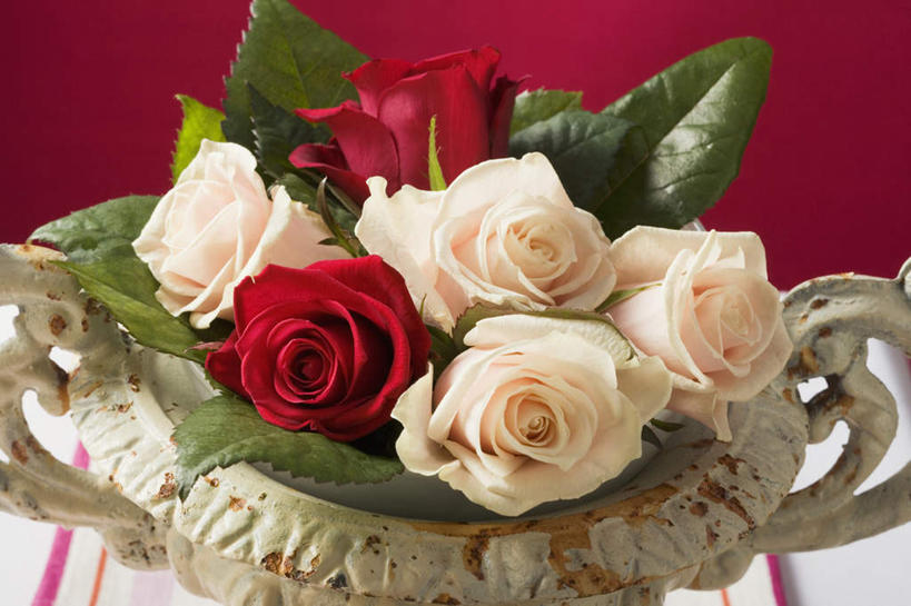 无人,横图,俯视,室内,特写,白天,爱情,幸福,纯洁,热情,玫瑰,叶子,玻璃,阴影,红色背景,条纹,盛开,反射,布料,影子,绿叶,玫瑰花,浪漫,花蕾,布纹,玻璃制品,桌布,花,花瓣,花朵,鲜花,一个,红色,白色,餐巾,容器,台布,碗,花苞,花蕊,温暖,温馨,嫩叶,恩爱,摄影,影棚,单个,储藏,和睦,储存,感动,尊敬,天真,刺玫花,徘徊花,叶,叶片,彩图,高角度拍摄,影棚拍摄,拍摄,融洽,贮存