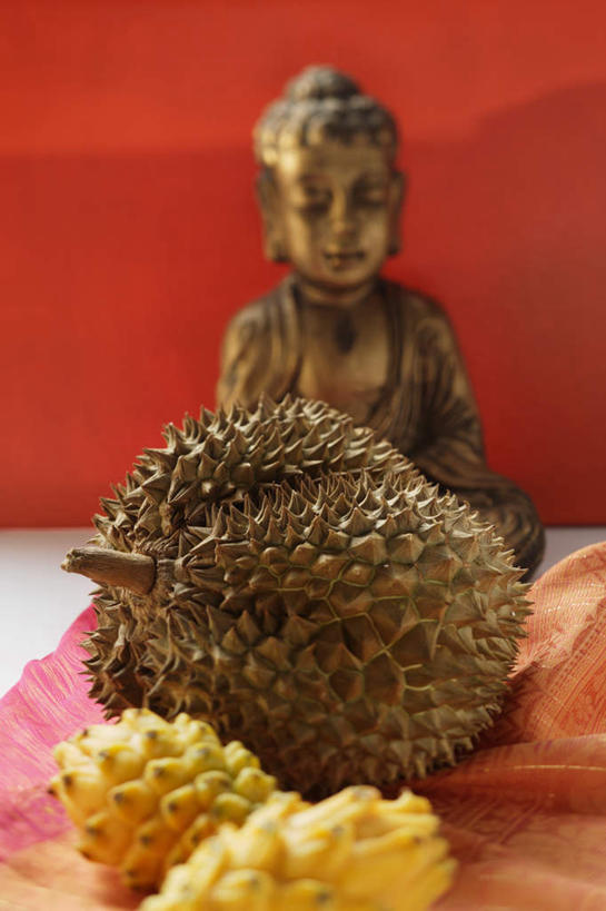 无人,坐,闭眼,盘腿,竖图,俯视,室内,特写,白天,餐桌,桌子,水果,雕塑,阴影,红色背景,新鲜,艺术,装饰,反射,雕刻,雕像,影子,生食,食品,果实,火龙果,榴莲,食物,三个,工艺品,青龙果,摄影,有机食品,绿色食品,影棚,餐台,纪念,美术,主题,陈列,功能,美学,麝香猫果,水果之王,麒麟果,闭眼睛,闭着眼,闭着眼睛,盘腿而坐,盘膝,盘着腿的,盘着腿坐,双腿交叉,坐着,彩图,高角度拍摄,影棚拍摄,拍摄