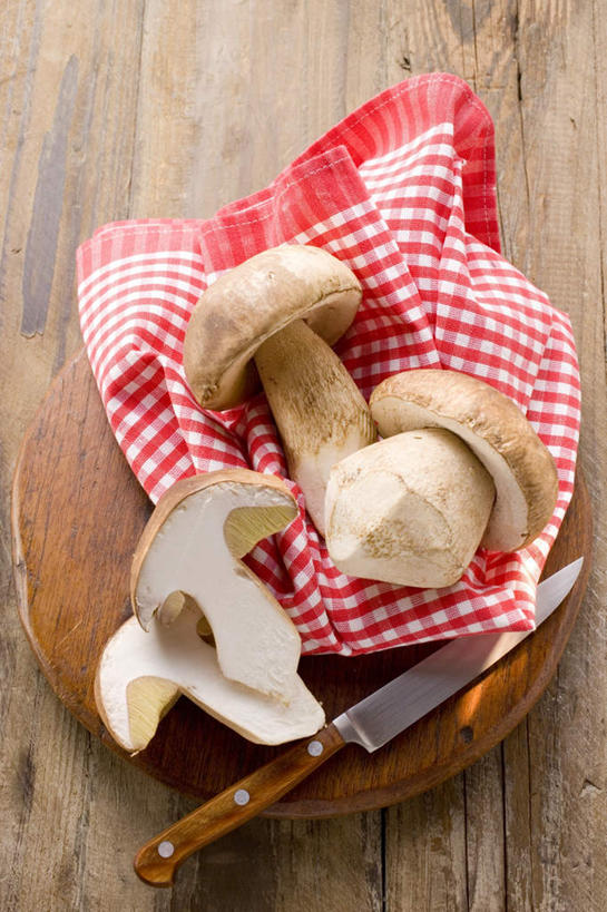 无人,竖图,俯视,室内,特写,白天,餐桌,桌子,蔬菜,金属制品,一把,切开,阴影,新鲜,反射,金属,布料,工具,影子,菌菇,蘑菇,食品,棕色,刀具,菌类,布纹,中药,桌布,食物,三个,红色,餐巾,台布,刀,切,食用菌,摄影,有机食品,绿色食品,影棚,餐台,菜刀,药材,剖面,切面,牛肝菌,中药材,切菜刀,美味牛肝菌,大脚菇,彩图,高角度拍摄,影棚拍摄,拍摄