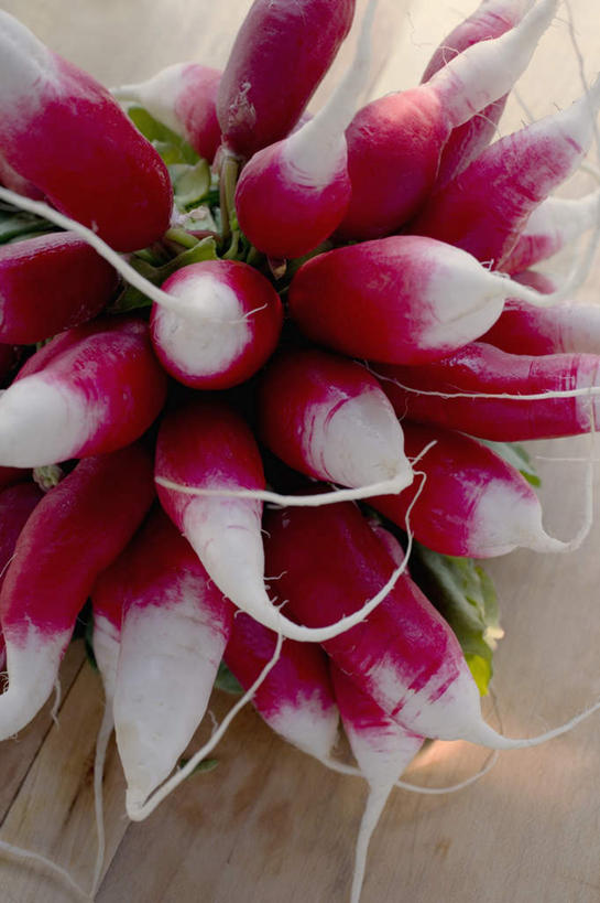 无人,竖图,俯视,室内,特写,白天,餐桌,桌子,萝卜,蔬菜,叶子,一堆,许多,阴影,堆叠,堆积,新鲜,反射,影子,食品,绿叶,食物,红色,嫩叶,摄影,有机食品,绿色食品,影棚,水萝卜,餐台,堆,叶,叶片,彩图,高角度拍摄,影棚拍摄,拍摄