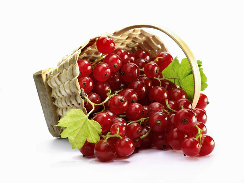 无人,交叉,横图,室内,特写,白天,正面,餐桌,桌子,竹子,浆果,水果,叶子,阴影,竹制,新鲜,编织,反射,篮子,影子,灯笼果,生食,食品,果实,绿叶,食物,一个,红色,竹篮,嫩叶,摄影,有机食品,绿色食品,影棚,单个,餐台,竹条,交织,竹制品,红醋栗,穿插,叶,叶片,醋栗,彩图,影棚拍摄,拍摄