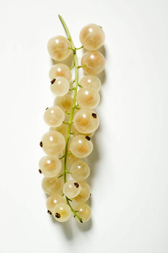 无人,竖图,俯视,室内,特写,白天,白色背景,桌面,桌子,浆果,水果,一排,阴影,新鲜,整齐,反射,木制,影子,灯笼果,生食,食品,果实,食物,排列,黄色,木制品,摄影,有机食品,绿色食品,影棚,队列,红醋栗,醋栗,彩图,高角度拍摄,影棚拍摄,拍摄