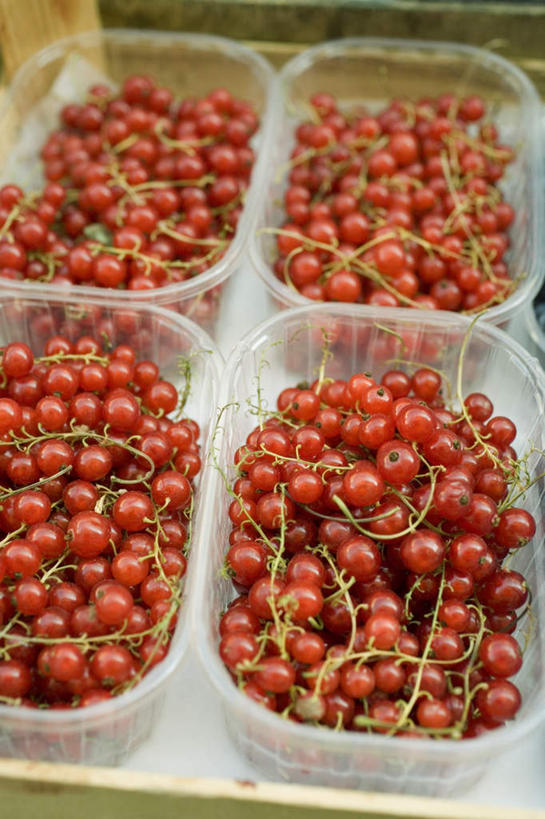 无人,竖图,俯视,室内,特写,白天,购物,消费,浆果,水果,一堆,许多,阴影,堆叠,堆积,新鲜,反射,影子,塑料,灯笼果,生食,食品,果实,集市,市场,很多,盒子,食物,红色,容器,塑料制品,金融,有机食品,绿色食品,储藏,堆,储存,选购,贸易,红醋栗,醋栗,彩图,高角度拍摄,贮存