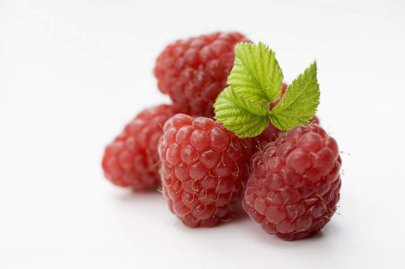 无人,横图,俯视,室内,特写,白天,白色背景,餐桌,桌子,水果,叶子,一堆,许多,阴影,堆叠,堆积,新鲜,反射,影子,生食,食品,果实,绿叶,很多,食物,红色,嫩叶,摄影,有机食品,绿色食品,影棚,餐台,堆,山莓,树莓,三月泡,四月泡,山抛子,刺葫芦,悬钩子,馒头菠,高脚菠,龙船泡,泡儿刺,叶,叶片,彩图,高角度拍摄,影棚拍摄,拍摄