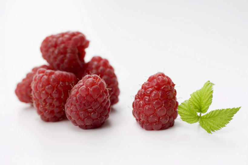 无人,横图,俯视,室内,特写,白天,白色背景,餐桌,桌子,水果,叶子,一堆,许多,阴影,堆叠,堆积,新鲜,反射,影子,生食,食品,果实,绿叶,很多,食物,红色,嫩叶,摄影,有机食品,绿色食品,影棚,餐台,堆,山莓,树莓,三月泡,四月泡,山抛子,刺葫芦,悬钩子,馒头菠,高脚菠,龙船泡,泡儿刺,叶,叶片,彩图,高角度拍摄,影棚拍摄,拍摄