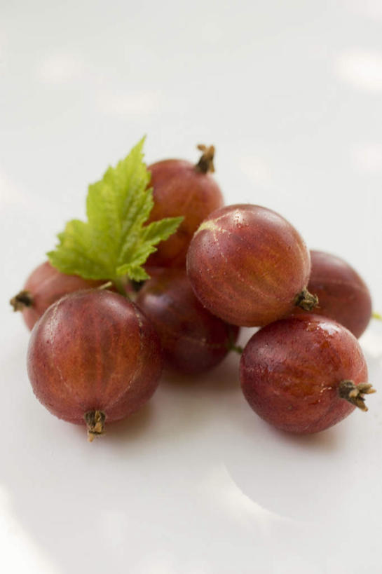 无人,竖图,俯视,室内,特写,白天,白色背景,餐桌,桌子,浆果,水果,叶子,一堆,许多,阴影,堆叠,堆积,新鲜,反射,影子,灯笼果,生食,食品,果实,绿叶,很多,食物,红色,嫩叶,摄影,有机食品,绿色食品,影棚,餐台,堆,红醋栗,叶,叶片,醋栗,彩图,高角度拍摄,影棚拍摄,拍摄