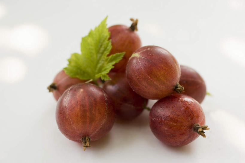 无人,横图,俯视,室内,特写,白天,白色背景,餐桌,桌子,浆果,水果,叶子,一堆,许多,阴影,堆叠,堆积,新鲜,反射,影子,灯笼果,生食,食品,果实,绿叶,很多,食物,红色,嫩叶,摄影,有机食品,绿色食品,影棚,餐台,堆,红醋栗,叶,叶片,醋栗,彩图,高角度拍摄,影棚拍摄,拍摄