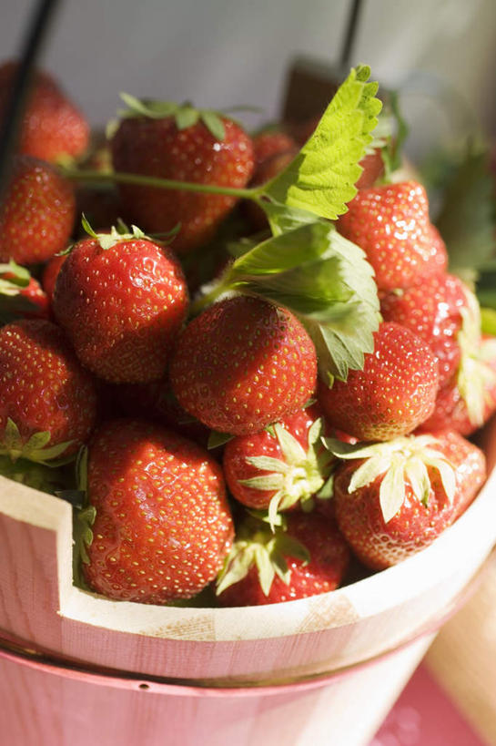 无人,交叉,竖图,俯视,室外,特写,白天,餐桌,桌子,竹子,草莓,浆果,水果,叶子,一堆,许多,阴影,堆叠,堆积,竹制,朦胧,模糊,新鲜,编织,光线,篮子,影子,生食,食品,果实,绿叶,很多,食物,一个,红色,阳光,竹篮,嫩叶,有机食品,绿色食品,单个,餐台,竹条,堆,交织,竹制品,穿插,叶,叶片,洋莓,水果皇后,红莓,地莓,彩图,高角度拍摄