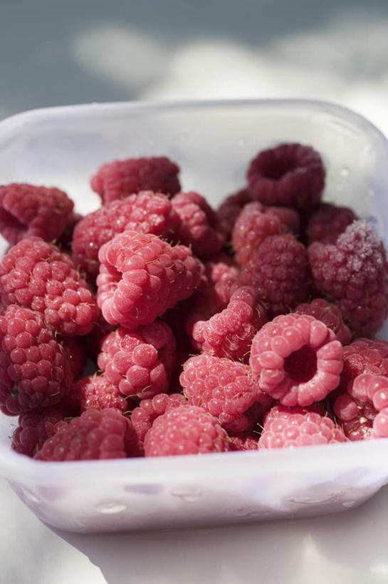 无人,竖图,俯视,室内,特写,白天,餐桌,桌子,水果,一堆,许多,阴影,堆叠,堆积,新鲜,反射,影子,塑料,生食,食品,果实,很多,盒子,食物,一个,红色,容器,塑料制品,有机食品,绿色食品,单个,餐台,储藏,堆,储存,山莓,树莓,三月泡,四月泡,山抛子,刺葫芦,悬钩子,馒头菠,高脚菠,龙船泡,泡儿刺,彩图,高角度拍摄,贮存