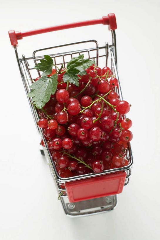 无人,竖图,俯视,室内,特写,白天,白色背景,浆果,水果,叶子,购物车,一堆,一辆,许多,阴影,堆叠,堆积,新鲜,反射,影子,灯笼果,生食,食品,果实,绿叶,车,食物,红色,手推车,嫩叶,摄影,有机食品,绿色食品,影棚,堆,便利,存放,载具,红醋栗,快捷,方便,寄存,寄放,暂存,叶,叶片,醋栗,彩图,高角度拍摄,影棚拍摄,拍摄