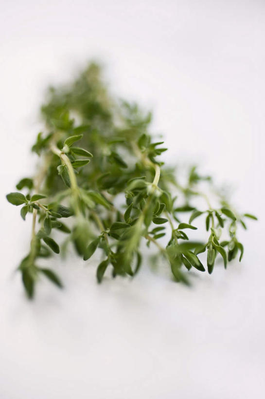 无人,竖图,俯视,室内,特写,白天,白色背景,桌面,桌子,叶子,阴影,朦胧,模糊,芳香,反射,木制,影子,调味,香料,佐料,绿叶,绿色,木制品,香草,嫩叶,摄影,影棚,吉祥,百里香,麝香草,配料,如意,勇气,作料,勇敢,地椒,自尊,不屈,平安,叶,叶片,彩图,高角度拍摄,影棚拍摄,拍摄